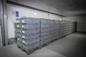 Industrial meat thawing equipment
