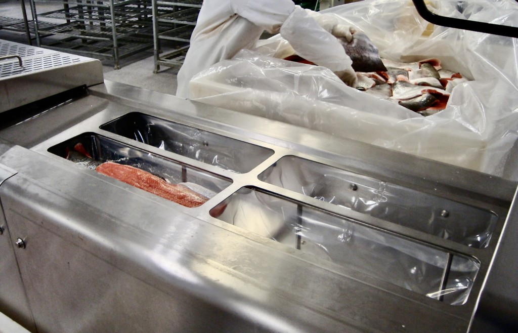 Fish processing at a production plant