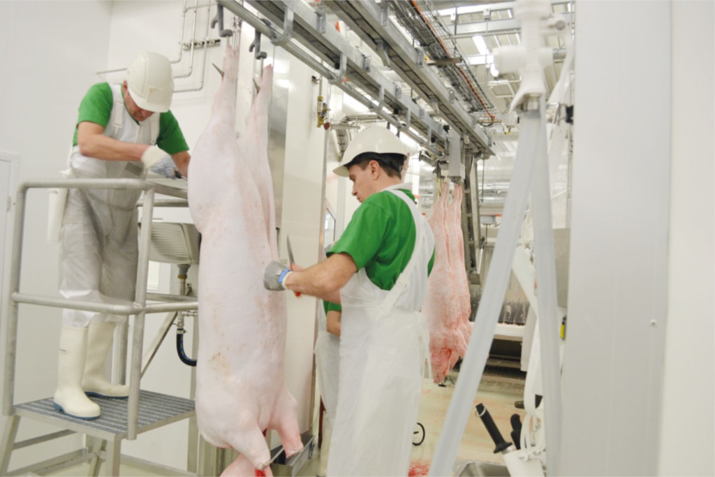 Finmodules slaughterhouse for pigs in production