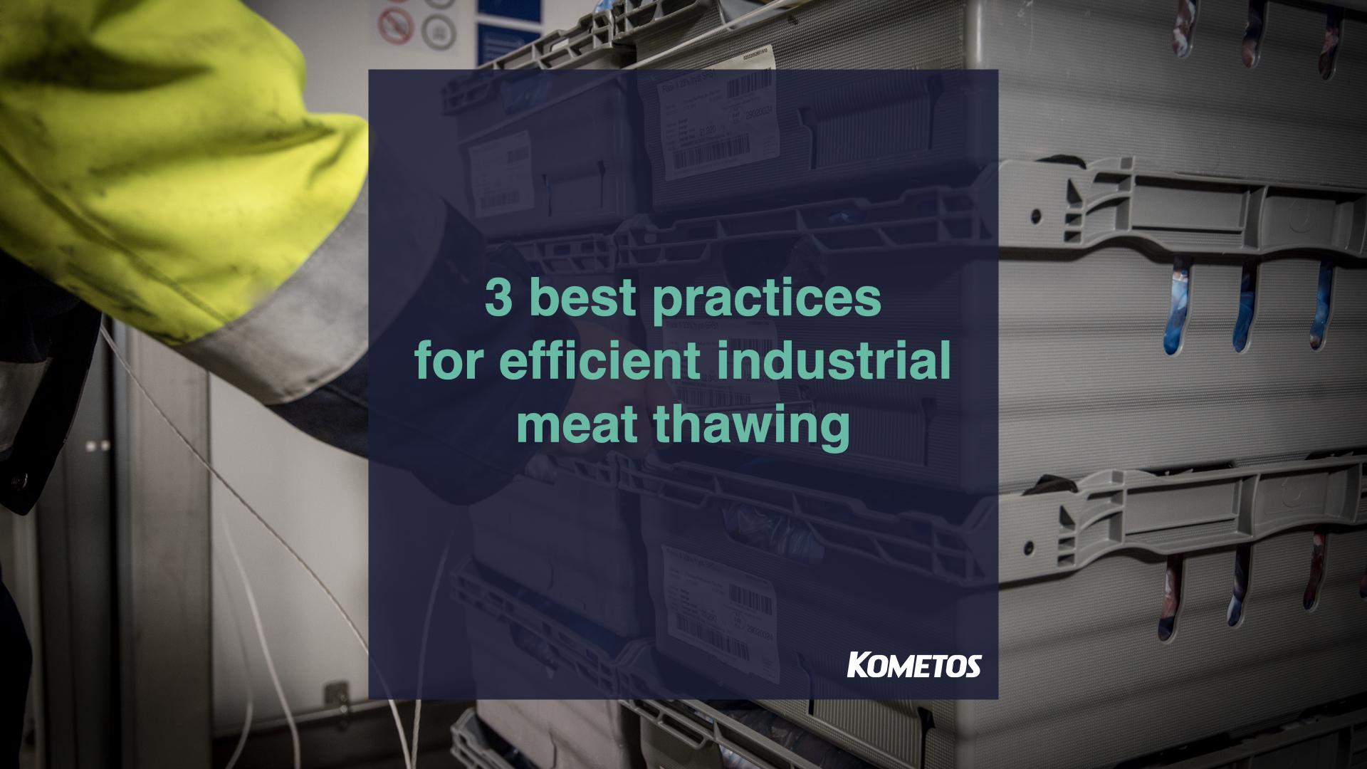 Industrial Meat Thawing: Best Practices - Kometos