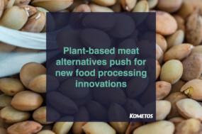 Plant based meat production process
