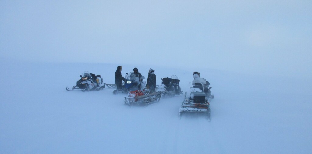 Reindeer herding Alaska